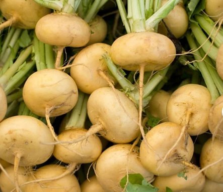 300 Seeds Golden Ball Turnip Seeds Vegetable