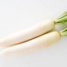 4000 Seeds Japanese Minowase Daikon Radish Vegetable