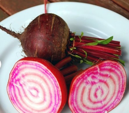 Seeds 300 Seeds Plant Vegetable Chioggia Beet