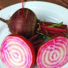 Seeds 300 Seeds Plant Vegetable Chioggia Beet