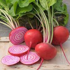 Seeds 600 Seeds Plant Vegetable Chioggia Beet