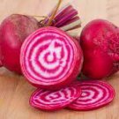 Vegetable Chioggia Beet Seeds 1200 Seeds Plant