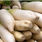 Japanese Minowase Daikon Radish 1000 Seeds Vegetable