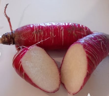 China Rose Radish Vegetable 1000 Seeds