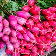 Vegetable 4000 Seeds China Rose Radish