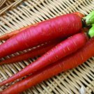 300 Seeds Vegetable Atomic Red Carrot Seeds