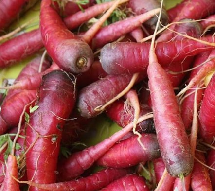 Atomic Red Carrot Seeds 600 Seeds Vegetable