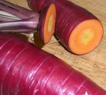 Atomic Red Carrot Seeds 1200 Seeds Vegetable