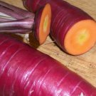 Atomic Red Carrot Seeds 1200 Seeds Vegetable
