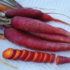 Carrot Seeds 2400 Seeds Atomic Red Vegetable