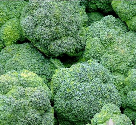 Broccoli For Garden Vegetable 1200 Seeds Waltham