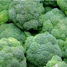 Broccoli For Garden Vegetable 1200 Seeds Waltham