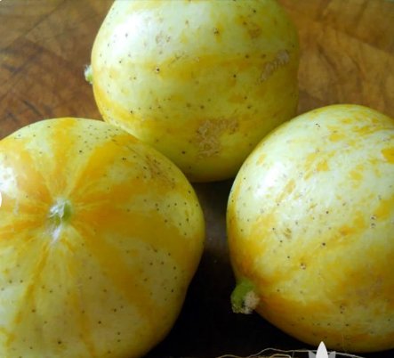 30 Seeds Lemon Cucumber Vegetable For Garden