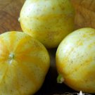 30 Seeds Lemon Cucumber Vegetable For Garden