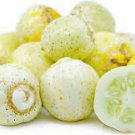 Lemon Cucumber Vegetable For Garden 480 Seeds