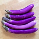 40 Seeds Vegetable For Garden Ping Tung Eggplant