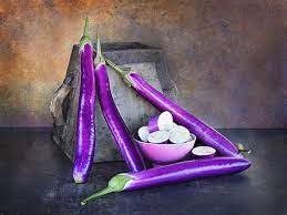 Eggplant 320 Seeds Vegetable For Garden Ping Tung