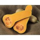 Squash 320 Seeds Vegetable Blue Hubbard Winter For Garden