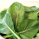 Seeds 400 Seeds Vegetable For Garden Komatsuna Tendergreen Mustard Greens Heirloom