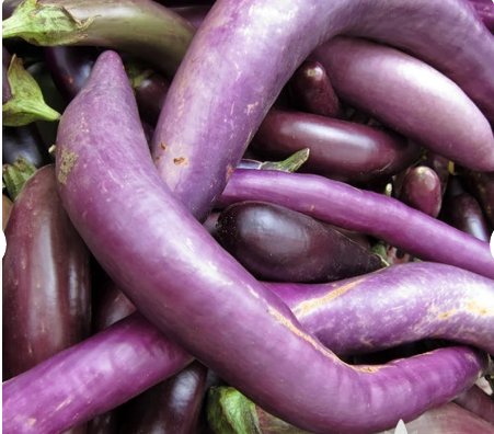 Long Purple Eggplant 80 Seeds Vegetable For Garden