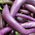 Long Purple Eggplant 80 Seeds Vegetable For Garden