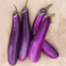 640 Seeds Vegetable Long Eggplant For Garden Purple