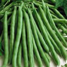 50 Seeds Blue Lake Pole Bean Vegetable For Garden