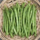 Vegetable 400 Seeds Blue Lake For Garden Pole Bean