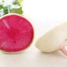 600 Seeds Watermelon Radish Vegetable For Garden