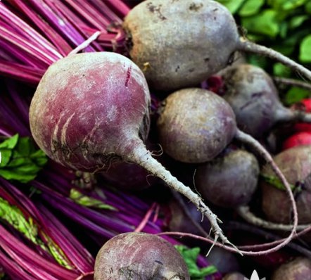 Detroit Dark Red Beet 600 Seeds Sprout Vegetable For Garden