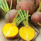 150 Seeds Golden Detroit Beet Seeds Vegetable For Garden