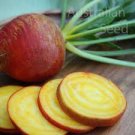 Vegetable 600 Seeds Golden Detroit Beet Seeds For Garden