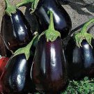 160 Seeds Black Beauty Eggplant Vegetable For Garden