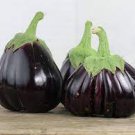 Beauty Eggplant Vegetable 320 Seeds Black For Garden