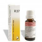 Dr. Reckeweg R37 Drops 22ml (Pack of 2) Homeopathic OTC Medicine