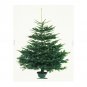 IKEA Entire BOLT Christmas Tree FABRIC Material XMAS VINTER 2014 LOT Nature Photo Margareta 24Yd