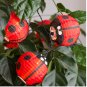 IKEA Solvinden 12 LIGHT CHAIN LED INDOOR OUTDOOR Ladybug Ladybird Red Battery Op Fairy Lights Bug