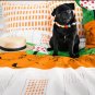 IKEA Onskedrom TWIN Duvet COVER Pillowcase Set &Atilde;�NSKEDR&Atilde;�M Orange Green Modern Design