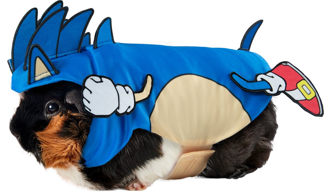 Sonic Small Pet Costume