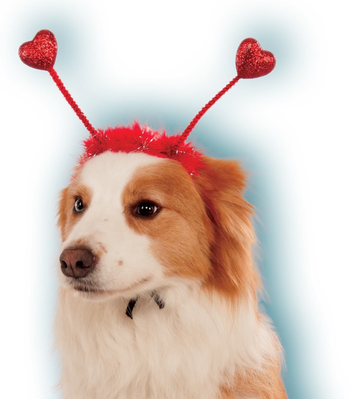 Pet Red Heart Boppers