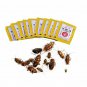 10PCS Cockroach Killer Anti Insect Roach Reject Pest Control