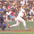 Boston Red Sox Mike Greenwell 1988 Pinup Photo 8x10