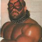The Road Warriors World Championship Wrestling 2 original 1986 Pinup Photos