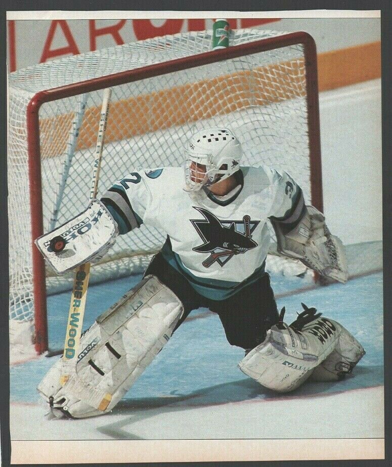 San Jose Sharks Arturs Irbe Flashing The Blocker 1994 Pinup Photo