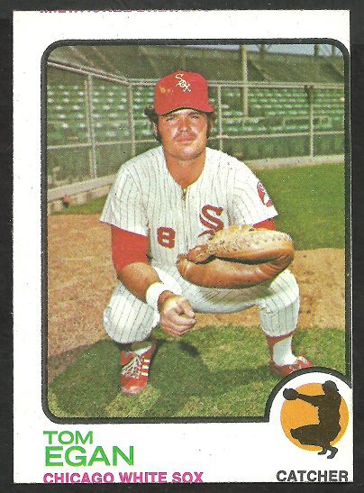 Chicago White Sox Tom Egan 1973 Topps Baseball Card # 648