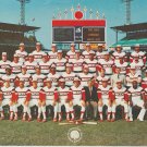 1982 Chicago White Sox Team Photo Comiskey Park Carlton Fisk Harold Baines Tony LaRussa 11x81/2