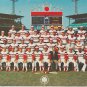 1982 Chicago White Sox Team Photo Comiskey Park Carlton Fisk Harold Baines Tony LaRussa 11x81/2