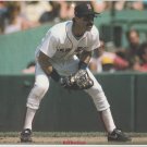 Boston Red Sox Bill Buckner Ready to Field His Position at Fenway Park 1987 Pinup Photo 8x10