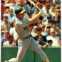 9 diff Oakland Athletics Pinup Photos Reggie Jackson Rickey Henderson Mark McGwire Jose Canseco !