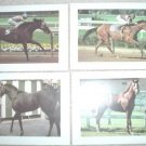 8 DIFFERENT COLORFUL THOROUGHBRED RACING PHOTOS